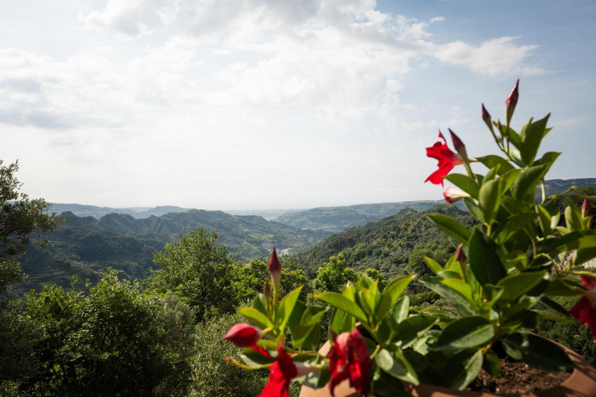 Locanda Degli Ulivi Hotel Mammola Екстериор снимка